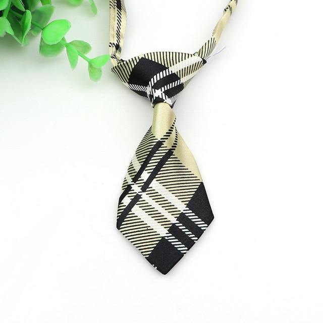 Pet Fashion ties | Fashionsarah.com