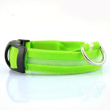 Load image into Gallery viewer, Luminous Safety Collars - Fashionsarah.com