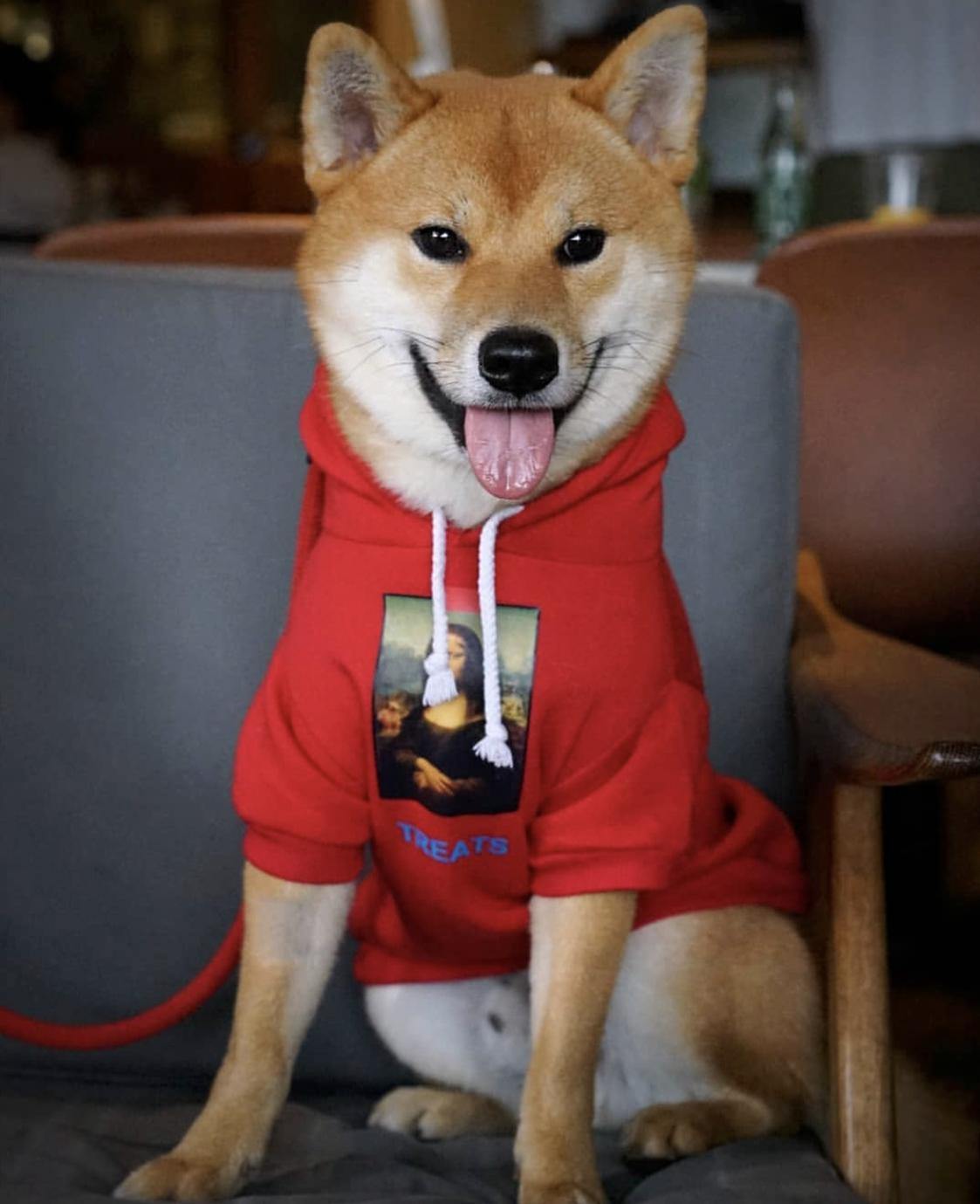 Dog Hoodies Clothes | Fashionsarah.com