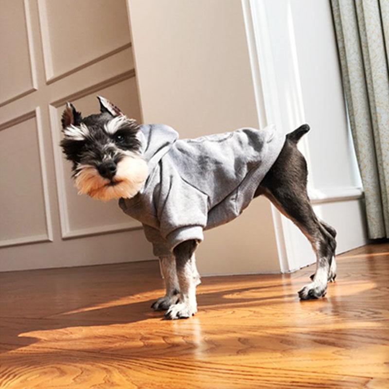 Pet Fashion Clothing | Fashionsarah.com