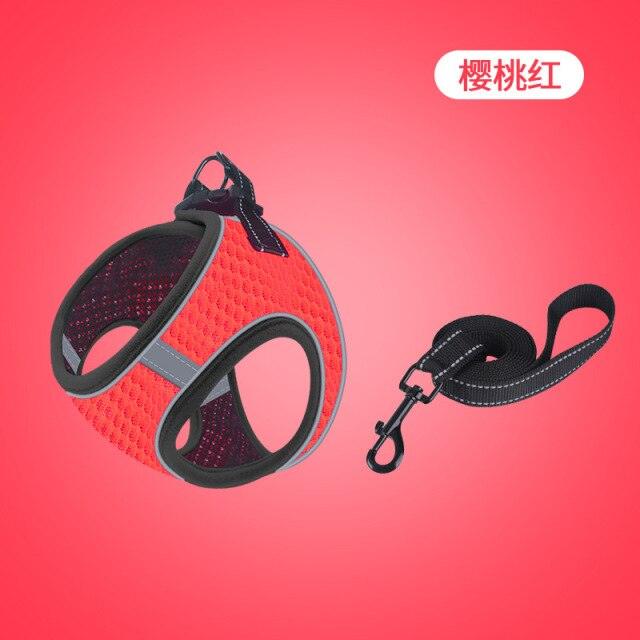 Fashionsarah.com Anti-Bite Chain Pet Leash