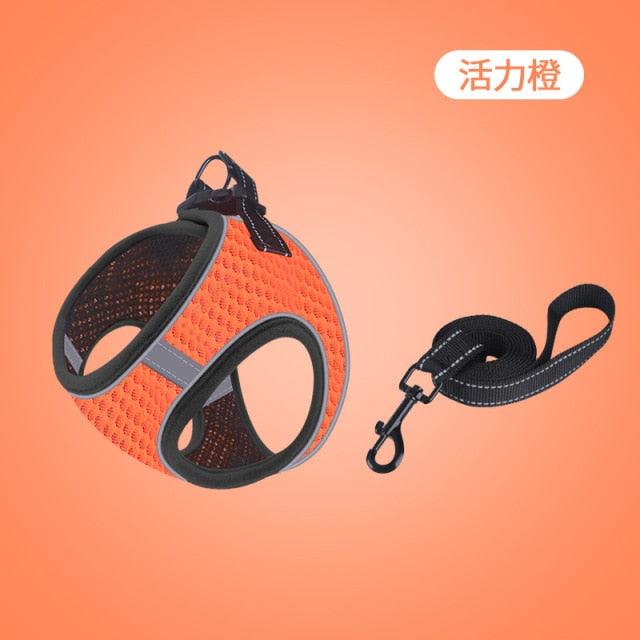 Fashionsarah.com Anti-Bite Chain Pet Leash