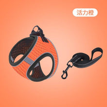 Load image into Gallery viewer, Anti-Bite Chain Pet Leash - Fashionsarah.com