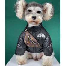 Load image into Gallery viewer, Pet Backpacks Supplies - Fashionsarah.com