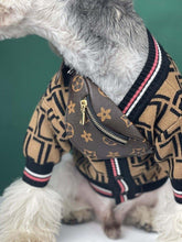 Load image into Gallery viewer, Pet Backpacks Supplies - Fashionsarah.com