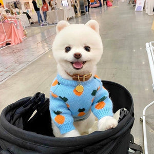 Dog Sweater Cute Carrot - Fashionsarah.com