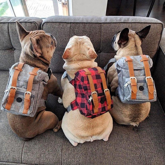 Fashionsarah.com Dog Travel Backpack