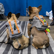 Load image into Gallery viewer, Dog Travel Backpack - Fashionsarah.com