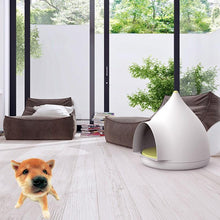 Load image into Gallery viewer, 4 seasons teddy puppy home - Fashionsarah.com